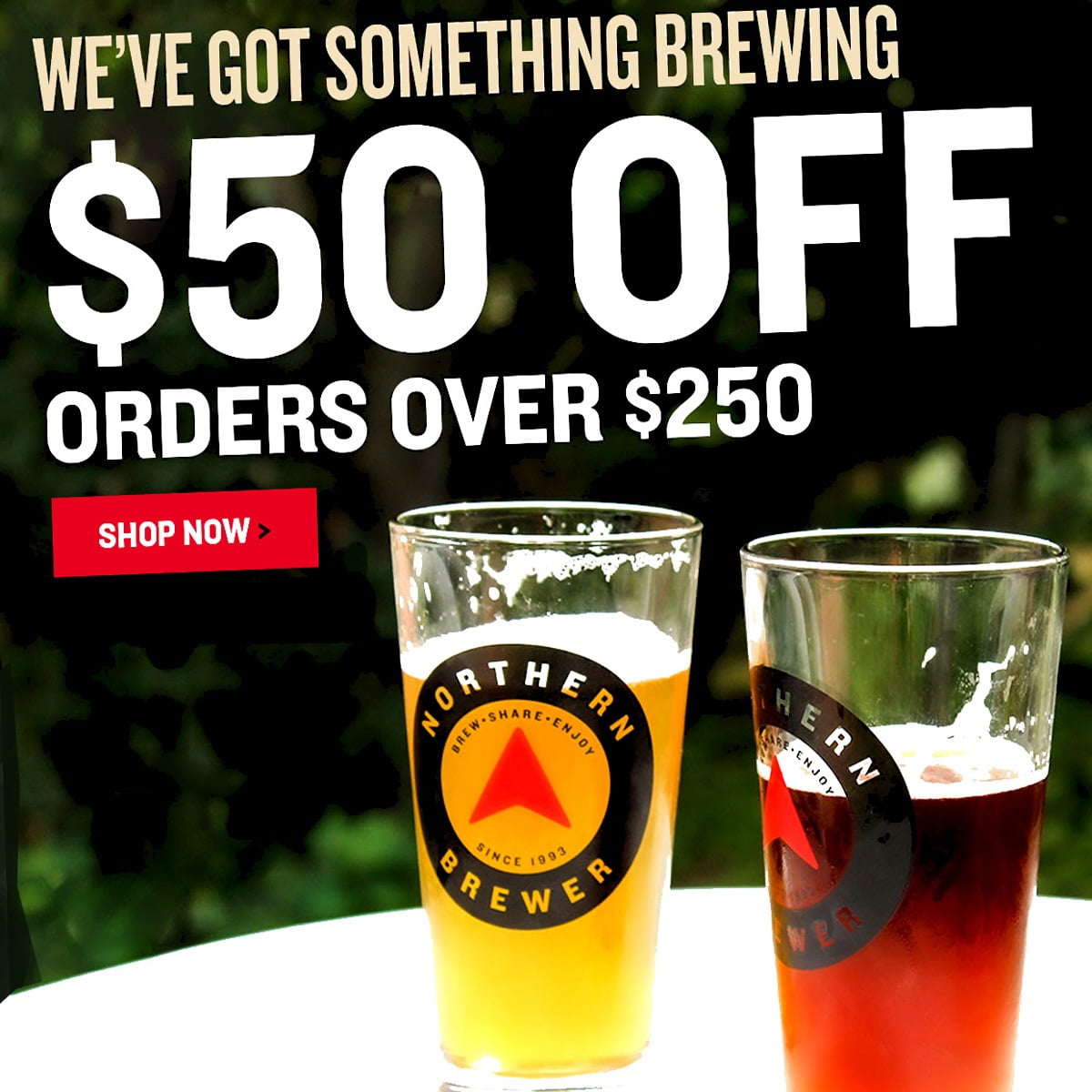 Coupon Codes and Northern Brewer Promo Codes Home Brewing Coupons